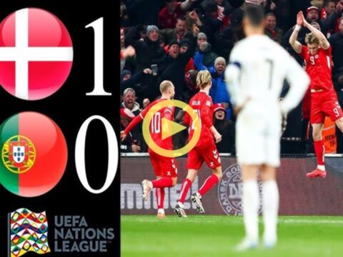 Denmark - Portugal 1-0