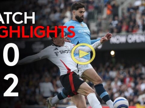 Fulham - Man City 0-2